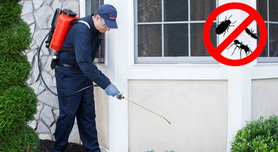 Finike Gümüşkurt İlaçlama böcek ilaçlama ve haşere kontrolü — ilaclama-tr.com